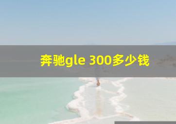 奔驰gle 300多少钱